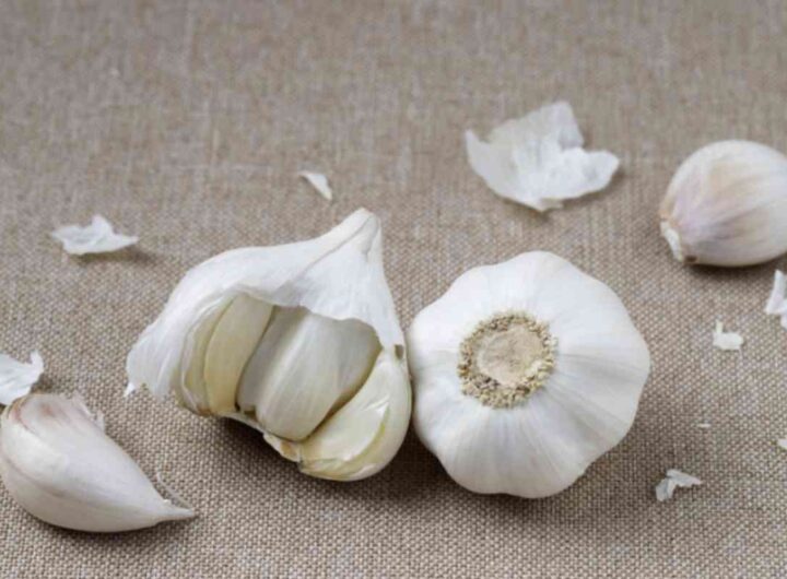 Non si tratta del tradizionale utilizzo dell’aglio come ingrediente culinario, ma dell’impiego delle sue bucce,