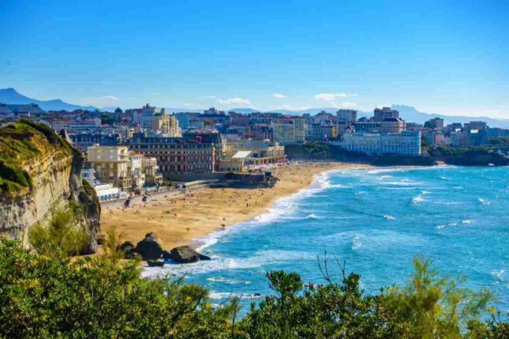 Meta splendida Francia