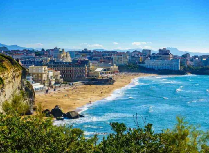 Meta splendida Francia