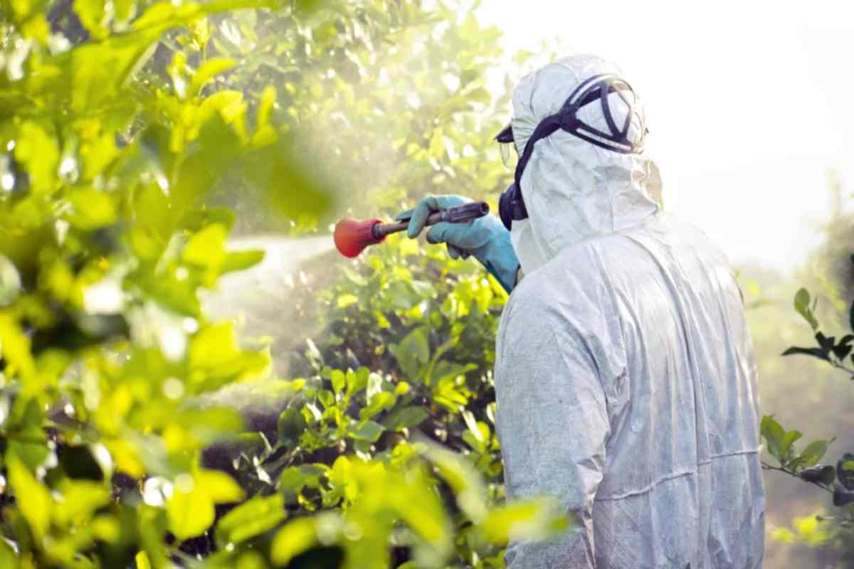 Uso pesticidi