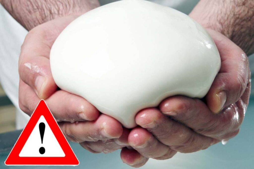 pericolo mozzarella