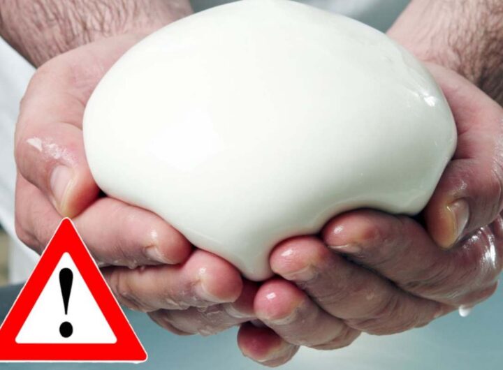 pericolo mozzarella