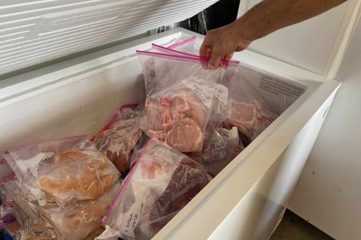 Freezer 