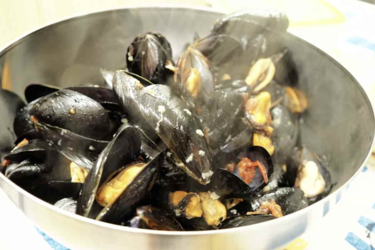 Il mitilo mediterraneo, o cozza, è un alimento ricco di proteine (circa 19 g ogni 100 g), con un basso contenuto di grassi saturi