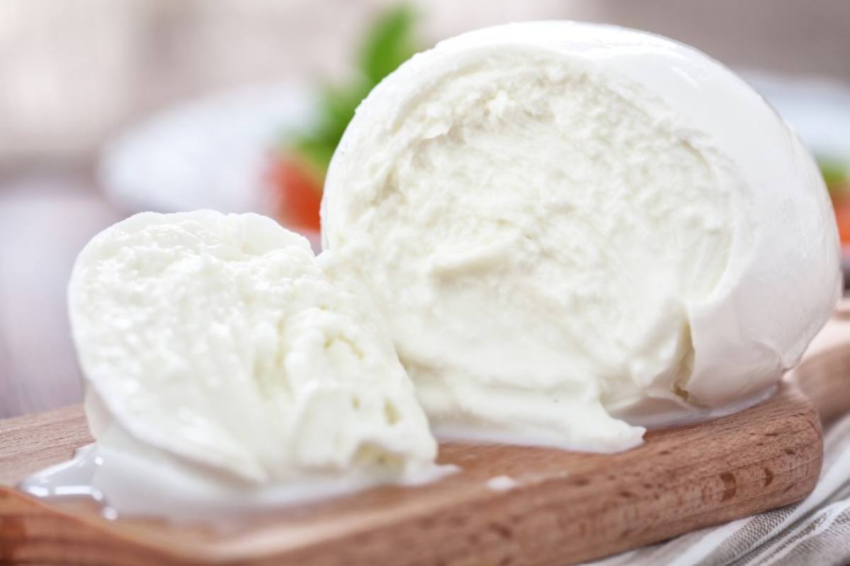 Test mozzarelle