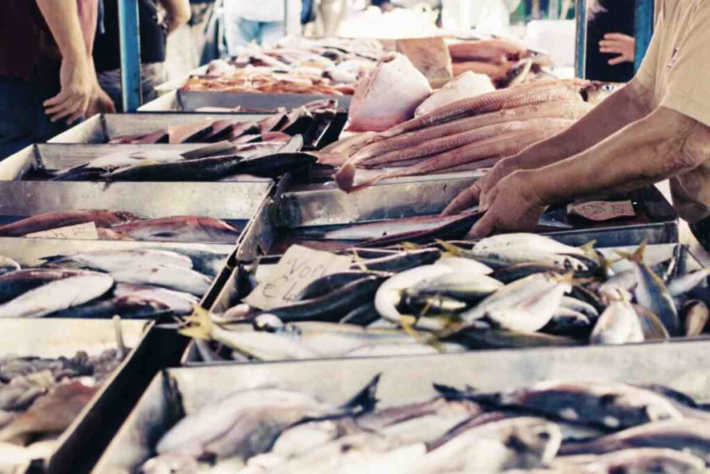 Pesce