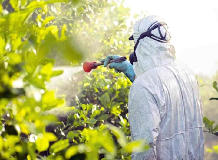 Rischio pesticidi