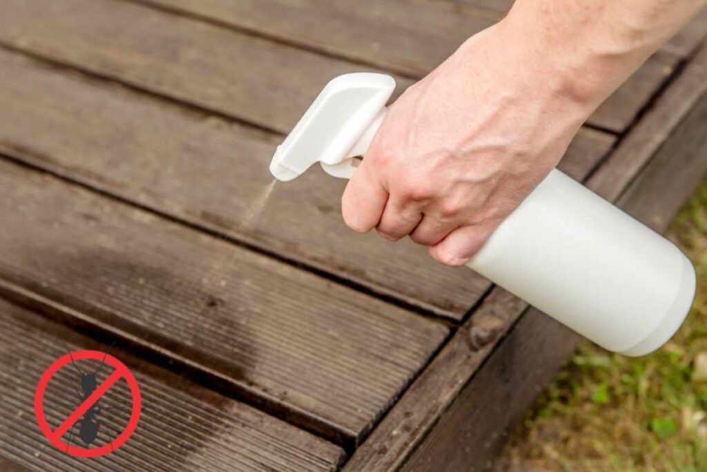 Spray contro formiche