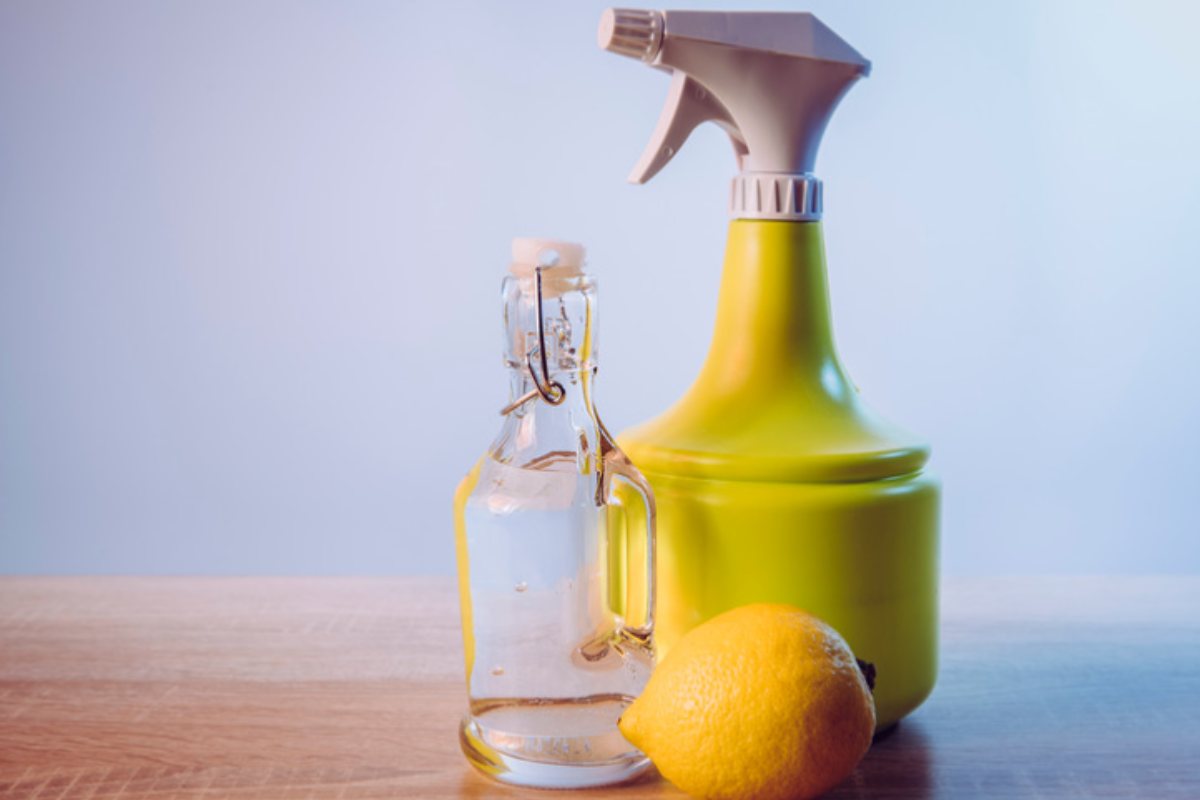 Spray contro formiche