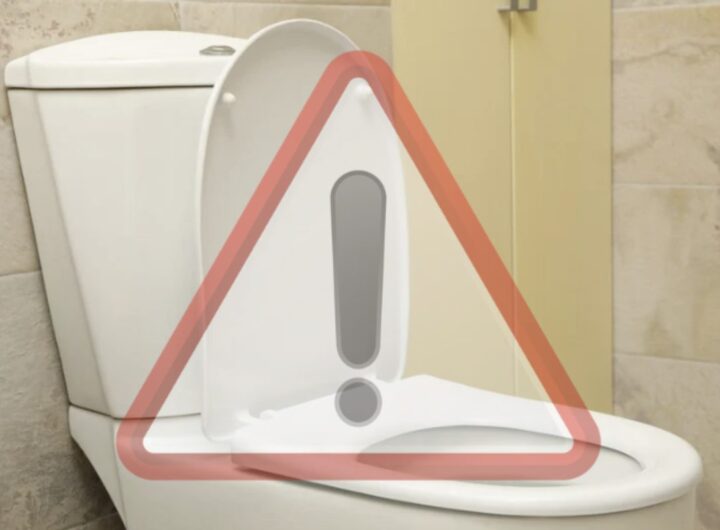 La ricerca, pubblicata sull’American Journal of Infection Control (AJIC), evidenzia come lo scarico produca un pennacchio di aerosol