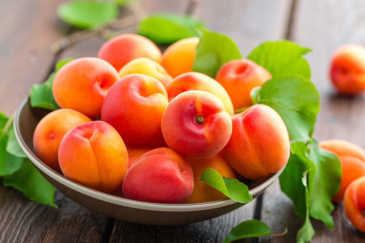 albicocche frutta estiva