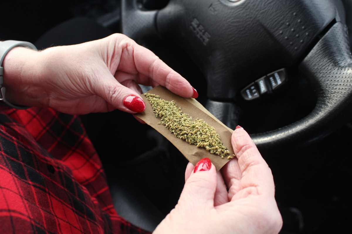 cannabis effetti organismo