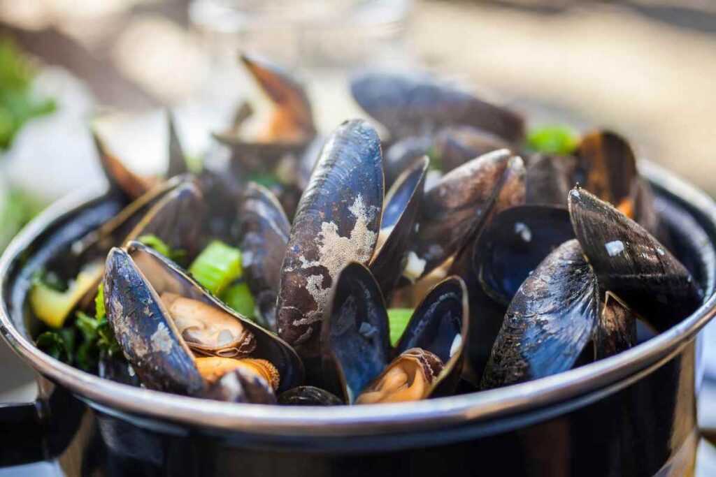 Cozze, perché alcune sono bianche ed altre arancioni? tutta la verità