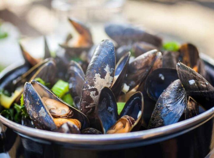 Cozze, perché alcune sono bianche ed altre arancioni? tutta la verità