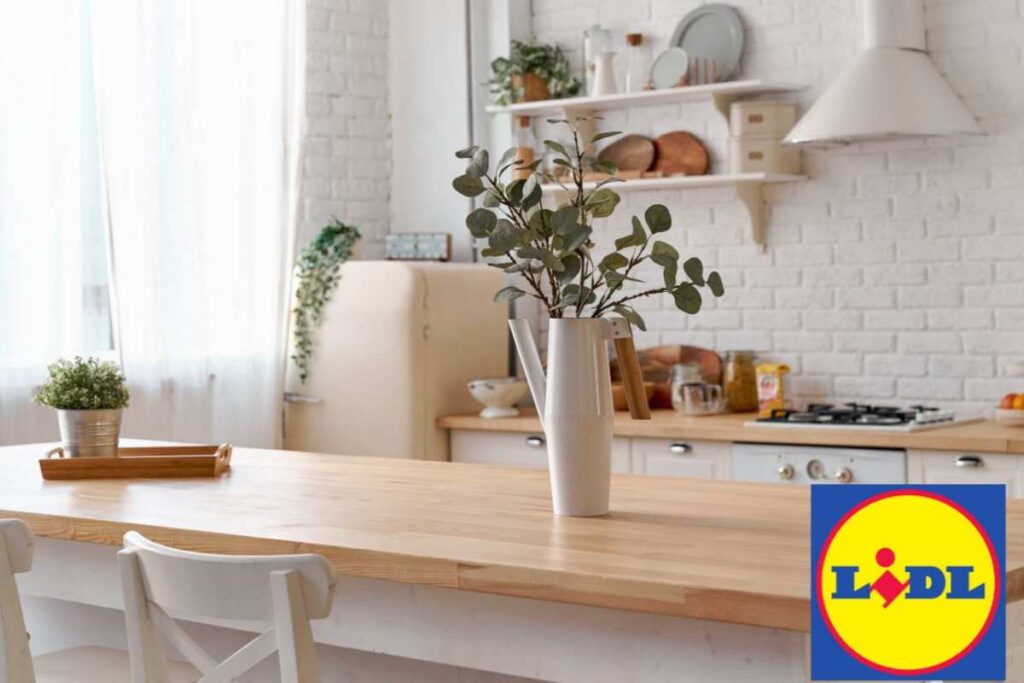 cucina lidl