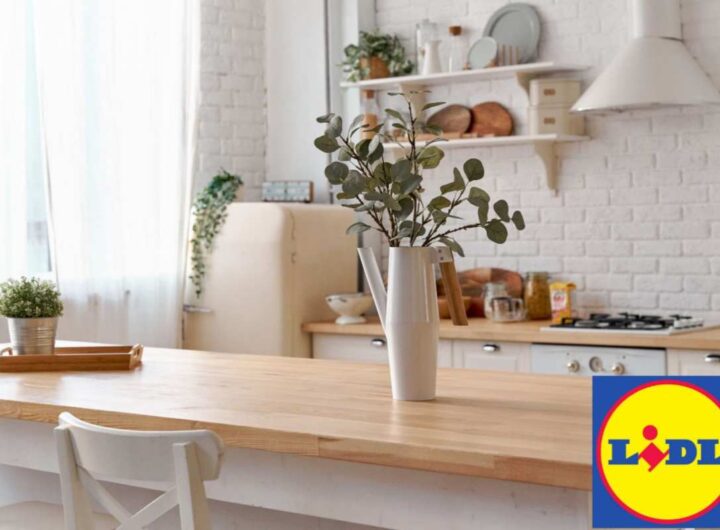cucina lidl