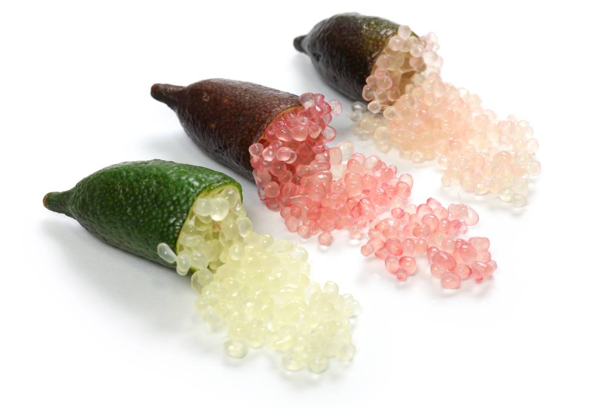 Sardegna in delirio per il limone-caviale