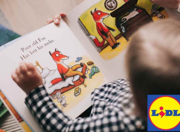 libro lidl