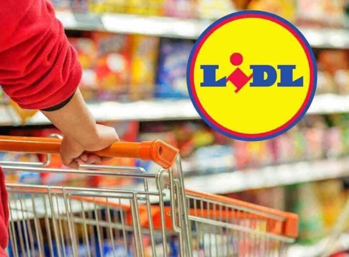 Lidl, riempi il carrello con meno di 10 euro-zafferanodop.it