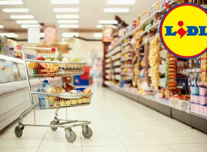 Costa meno di 40 euro ed è indispensabile in cucina