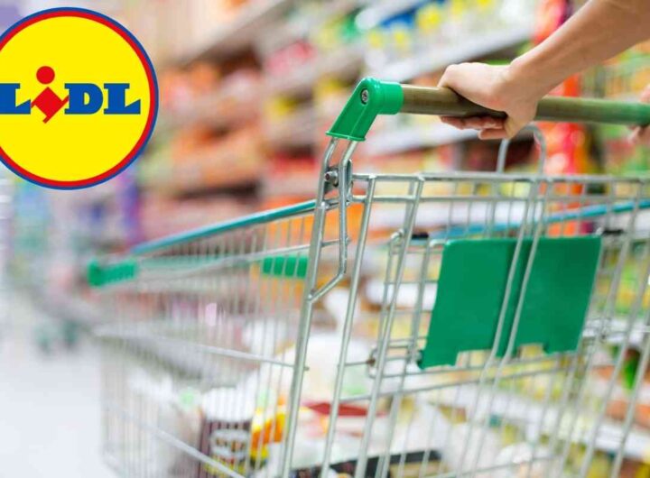 Lidl distrugge il caro spesa