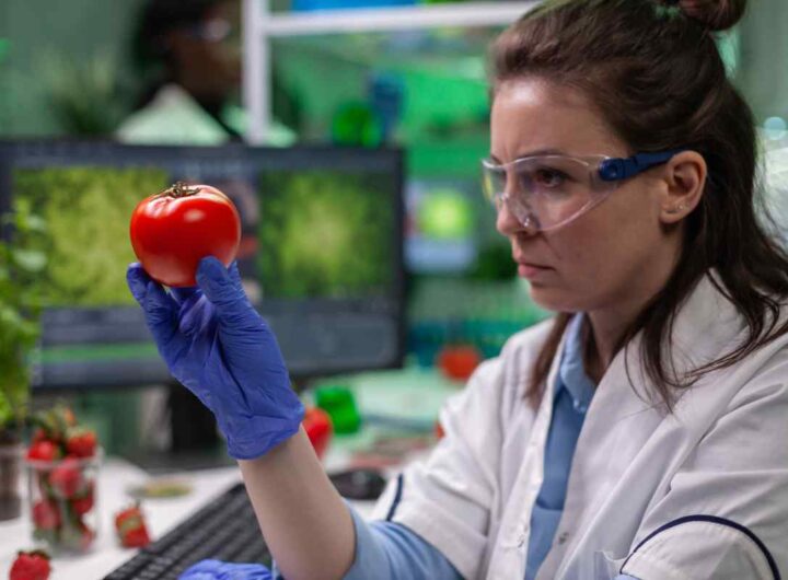 sono pieni di pesticidi