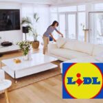 l'oggetto lidl per la casa