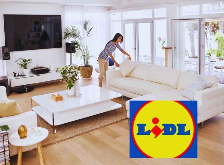 l'oggetto lidl per la casa